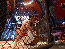 Уральских бойцов MMA будут тренировать топовые спортсмены UFC