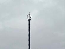 Связь 4G от МТС пришла еще в 17 населенных пунктов Борского района