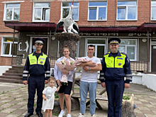 В подмосковном Серпухове Госавтоинспекторы сопроводили машину с беременной пассажиркой до роддома