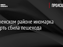 В Тосненском районе иномарка насмерть сбила пешехода