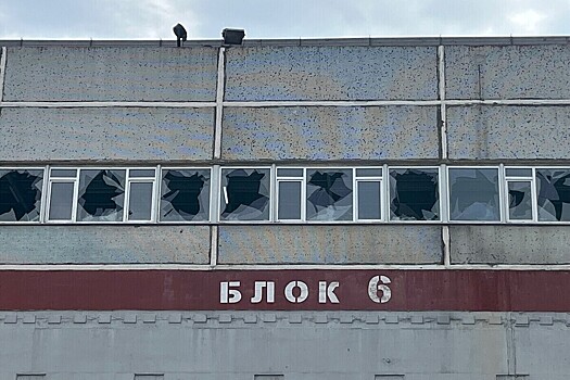 Эксперт раскрыл сроки восстановления работы Запорожской АЭС