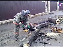 Синоптики предупредили о сильном ветре с порывами до 17 м/с в Подмосковье