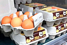 Птицефабрики попросили ФАС проверить цены на яйца в магазинах