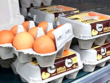 Птицефабрики попросили ФАС проверить цены на яйца в магазинах