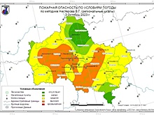 На большей части Подмосковья 3 октября ожидается III класс пожарной опасности