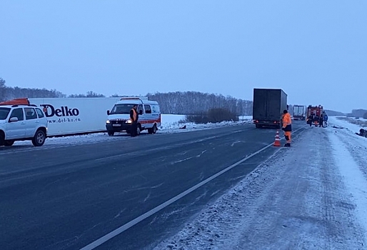 На омской трассе в ДТП с фурой погибла женщина