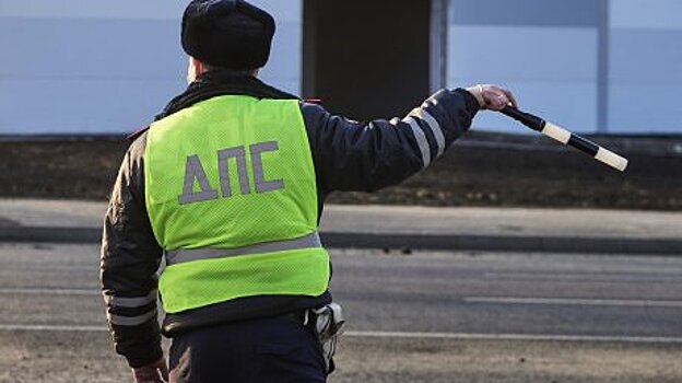 Из-за 166 штрафов пензенский лихач едва не лишился земельного участка