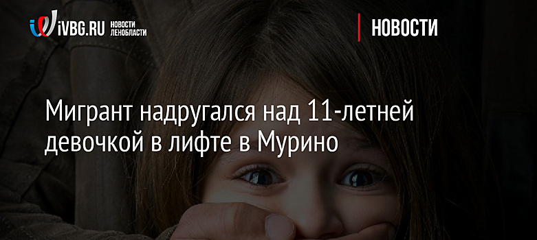 Мигрант надругался над 11-летней девочкой в лифте в Мурино