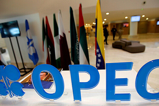 ОПЕК подготовит документ по институциализации ОПЕК+ к концу года