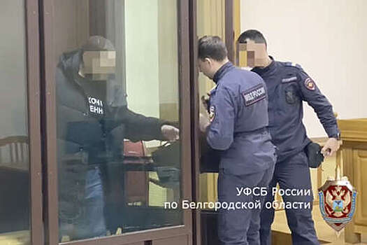Житель Белгородской области получил 17 лет колонии за подготовку теракта