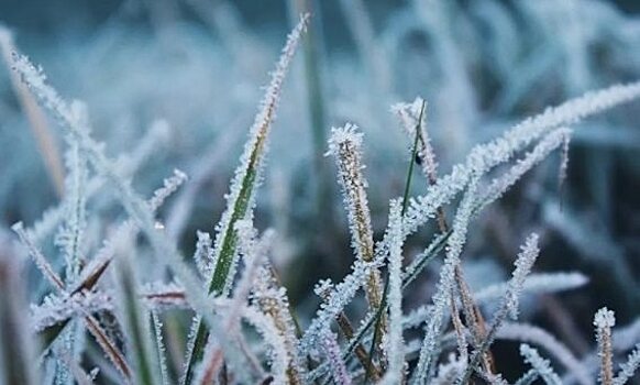 Морозы до -35 ожидаются в Саратовской области