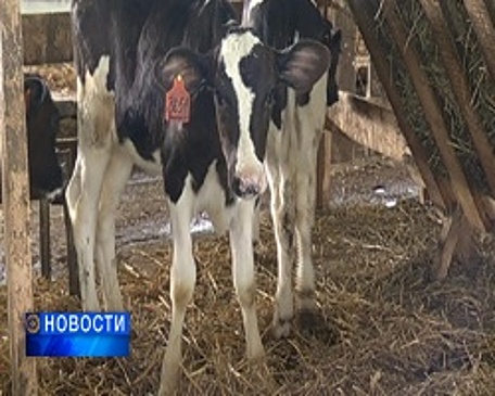 К следующему году вся сельхозпродукция Башкортостана должна быть промаркирована