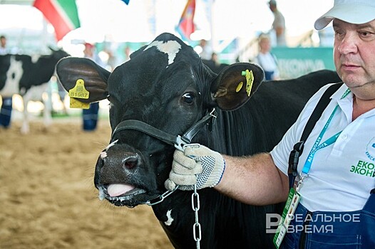 Малый агробизнес Татарстана произвел 42% сельхозпродукции республики