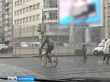 Cотрудники Госавтоинспекции провели «велорейд» в Калининграде