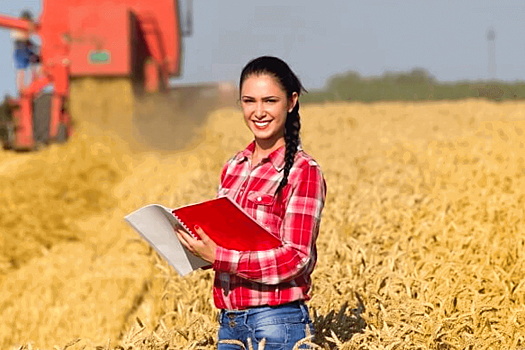 В ГД внесли проект об увеличении штрафов за отказ водителей останавливаться