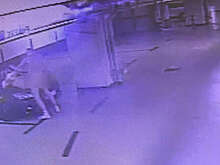 В Германии пара занялась сексом на автостоянке и повредила Mercedes