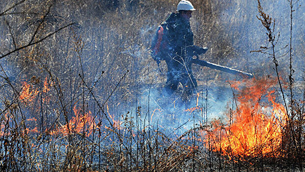 В Иркутской области за сутки уменьшилась площадь пожаров