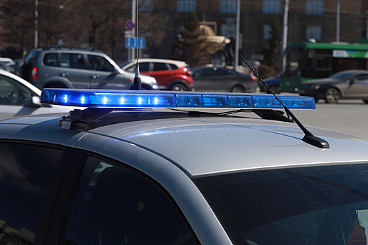 Погоня за мигрантами-блогерами завершилась задержанием на мосту в Новосибирске