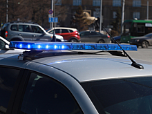 Погоня за мигрантами-блогерами завершилась задержанием на мосту в Новосибирске