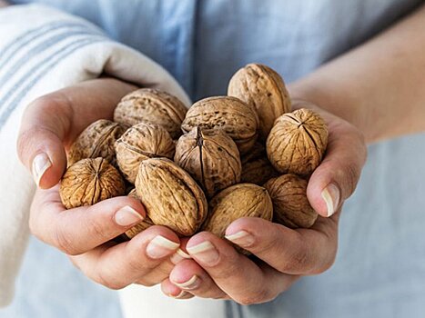 Ученые: грецкие орехи действительно помогают от рака