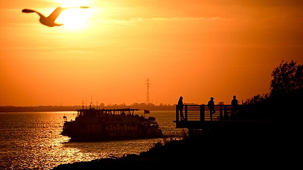 Американка продала все, чтобы провести остаток жизни в круизе