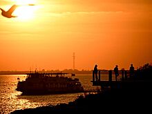 Американка продала все, чтобы провести остаток жизни в круизе