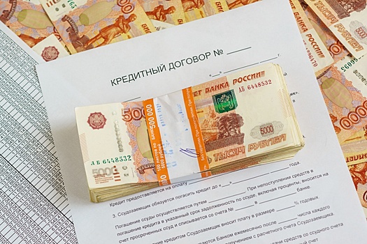 Специалист Васильева: Введение самоограничений может повлиять на кредитную историю человека