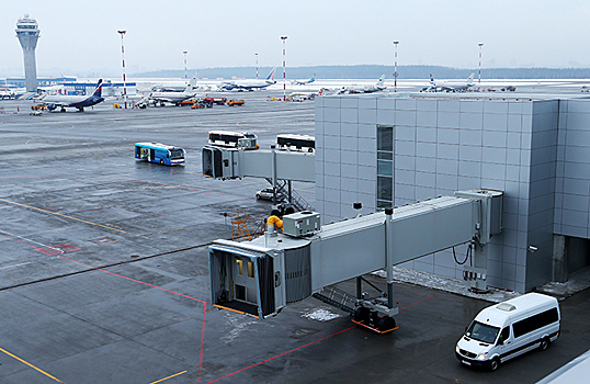 Тела убитых в ОАЭ криптоинвестора и его жены доставили в Петербург