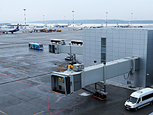 Тела убитых в ОАЭ криптоинвестора и его жены доставили в Петербург