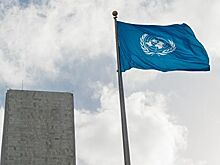 Комиссия ОП обратится в ООН с просьбой изучить факты реабилитации фашизма