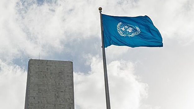 Комиссия ОП обратится в ООН с просьбой изучить факты реабилитации фашизма