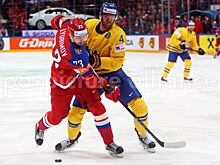 Любимов заявил, что чемпионат Франции сопоставим по уровню с ВХЛ