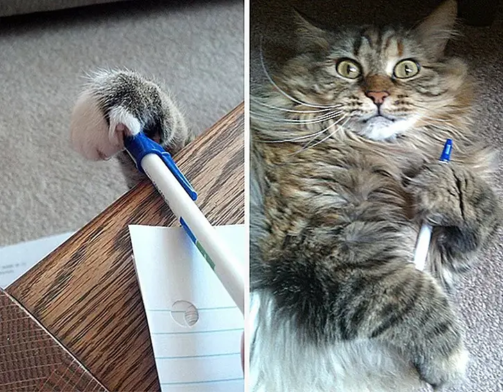 Это моя ручка!