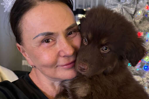 мама подарила собаку. семья с домашними животными. мама дарит щенка. щенок мальчик. мама подарила собаку.