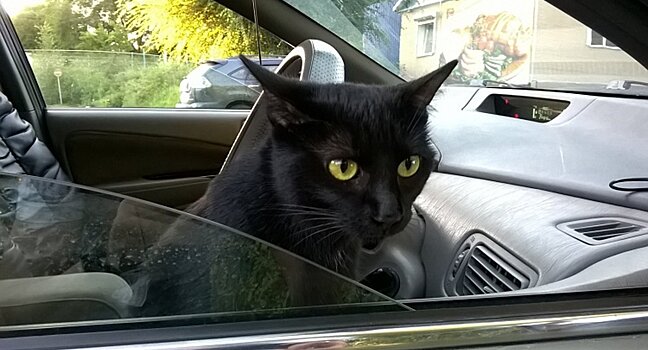 10 примет и суеверий об автомобилях, которые всегда сбываются