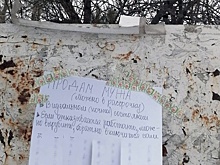 Жительница Новосибирска решила продать мужа