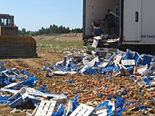 Россияне поддержали  введение продуктового эмбарго