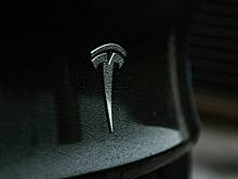 Выступающие против Маска американцы атаковали Tesla
