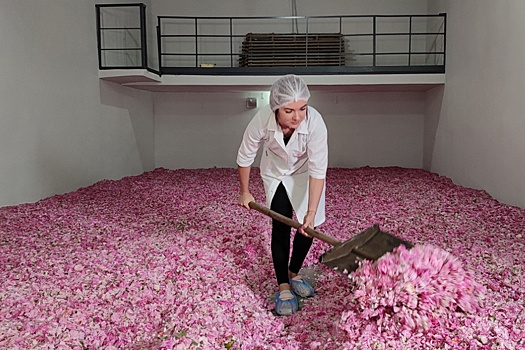 В Крыму создадут первый в стране парфюмерно-косметический кластер