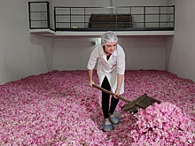 В Крыму создадут первый в стране парфюмерно-косметический кластер