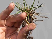 Мужчина нашел 500-летнее кольцо с таинственной надписью возле леса Робин Гуда