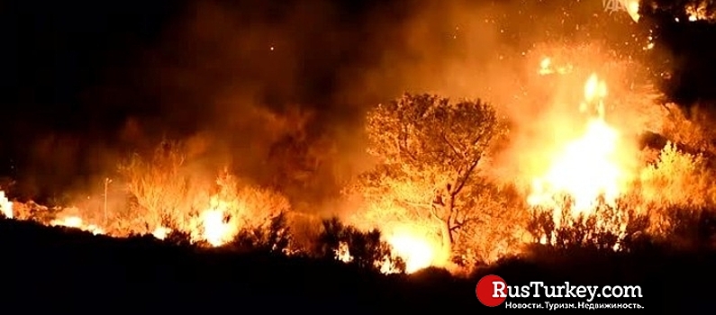 В туристическом Бодруме бушует лесной пожар