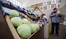 В Волгоградской области подорожали продукты «борщевого набора»
