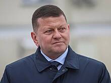 В Совфеде оценили слова Залужного о границах Украины