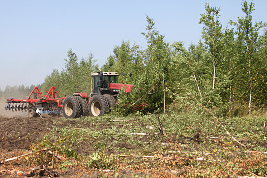 Более 20 тысяч га заброшенных полей вернут в сельхозоборот в Нижегородской области