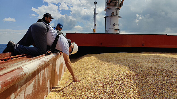 Венгрия, Словакия и Польша ввели запрет на импорт украинского зерна