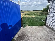 В Самарской области будут судить мужчину, застрелившего возлюбленную