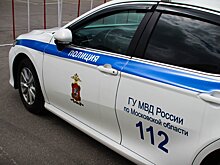 Полицейские задержали одного из участников конфликта на АЗС в Солнечногорске