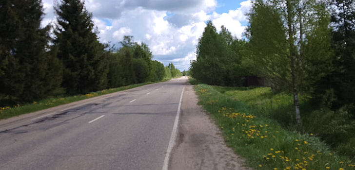 Штрафы за нарушения ПДД с водителей-иностранцев в Смоленской области будут идти в бюджет региона