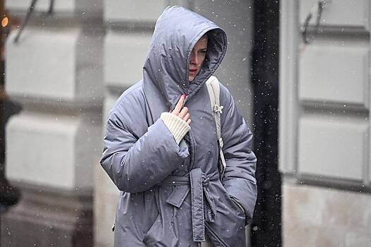 Москвичам предрекли 20-градусные морозы